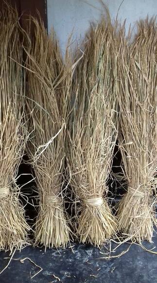 Straw for chopping | Engormix