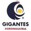 Gigantes Agroindustria