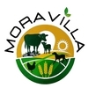 Moravilla Consulting Services LLC