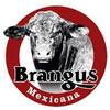 Asociacion Brangus de Mexico