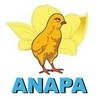 ANAPA