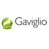 Gaviglio Comercial SA