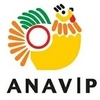 Asociación Nacional de Avicultores de Panamá ANAVIP
