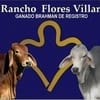 Lauro Flores Ramos
