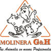 Molinera Gyh