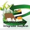 Agro Guayacan