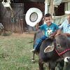 Freddie Cruz Mendez