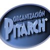 organización pitarch