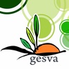 GESVA