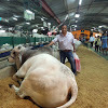 Freddy Montoya Fernandez