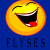 flyses