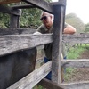 Oswaldo Garces Realpe