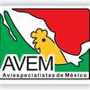 AVEM Mexico