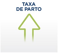 Matrizes suínas: plasma melhora a condição de saúde em todas as fases de produção - Image 3