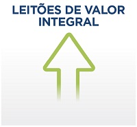 Matrizes suínas: plasma melhora a condição de saúde em todas as fases de produção - Image 2