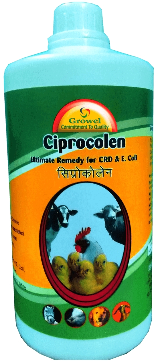 Powerful Crd E Coli Medicine For Poultry On Engormix Ref
