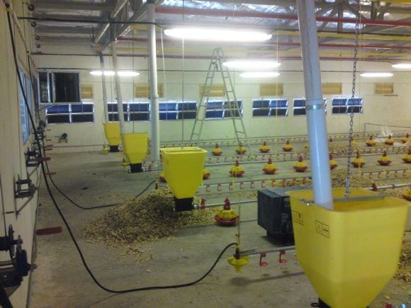 Feeding systems - Poultry equipment