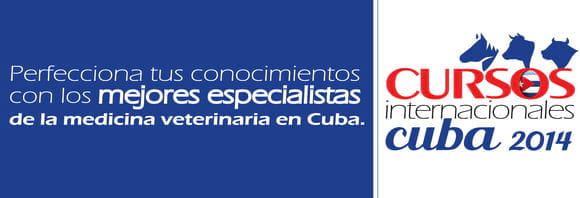 Cursos en Cuba - Cursos en Cuba