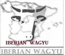 Iberian Wagyu - Varias