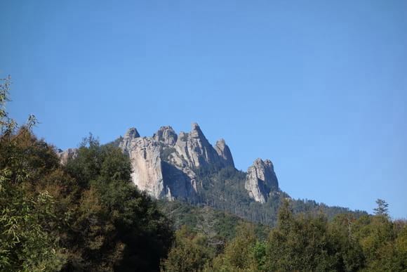 Bosque humedo de altura Hidalguense - Cabaña "La Hortaliza"