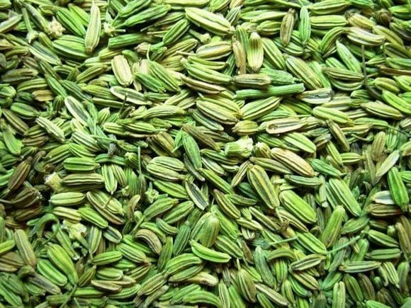 Fennel Seeds - Various