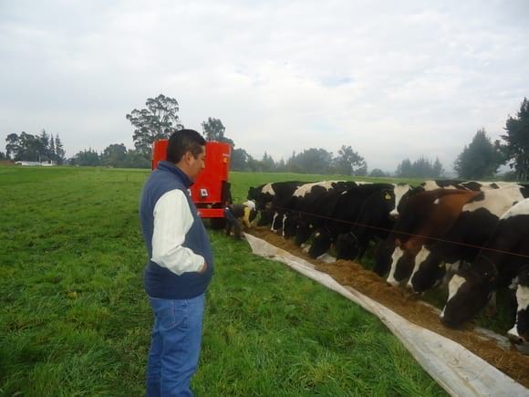 Suplementación Estratégica en vacas en pastoreo de alta producción - Varias