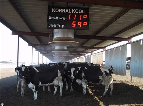 The ambient temperature control in farm areas is very important in Arizona. - Varias