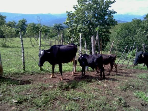 HACIENDA LIDIA - Varias