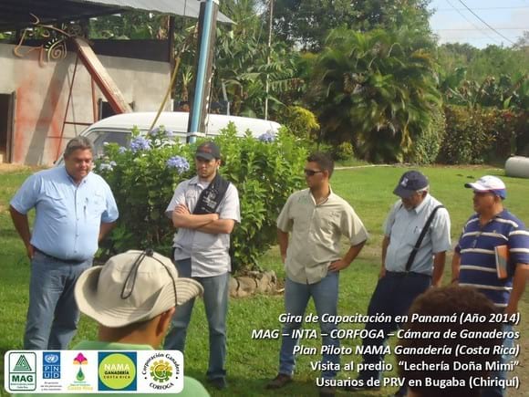 PRV en Lechería Doña Mimi (Panamá) - 4 - MAG/INTA/CORFOGA Costa Rica - De gira con CEG en Panamá (1).