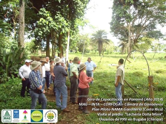 PRV en Lechería Doña Mimi (Panamá) - 8 - MAG/INTA/CORFOGA Costa Rica - De gira con CEG en Panamá (1).