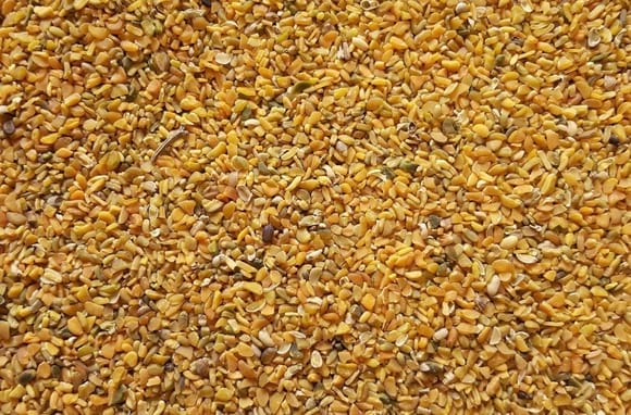 Roasted Guar Korma - Poultry feed