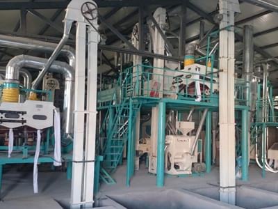How To Effectively Solve The Plight Of China's Corn Processing Machine Development? - maize processing machinery