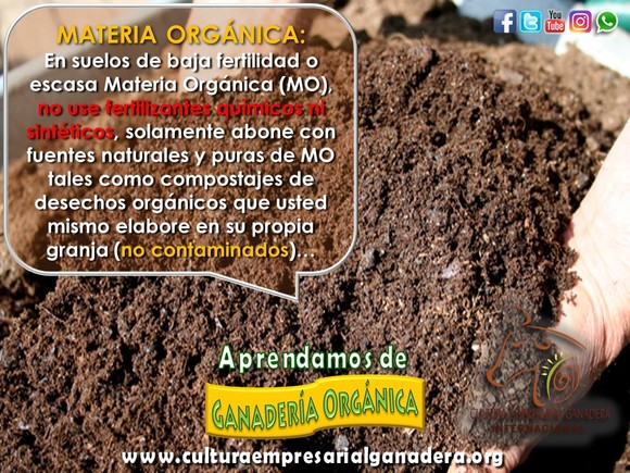 Ganadería Orgánica - P3 Materia Orgánica (Compostajes) - Pautas para Ganadería Orgánica