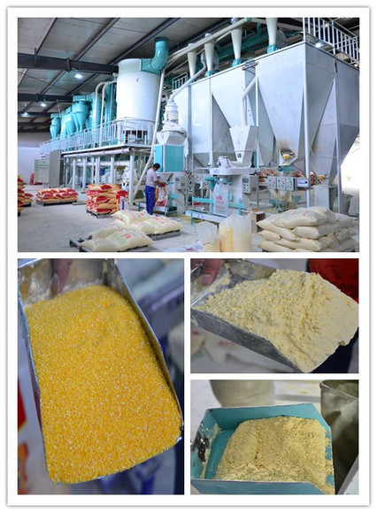 Large Scale Corn Processing Plant - My activity