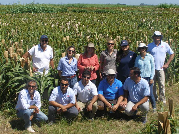 Visita al Criadero INTA EEA Manfredi de profesionales de la Red de Evaluación de Híbridos de Sorgo coordinado por la Ing. Agr. Gabriela Diaz de la EEA. Paraná - Eventos