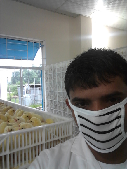 hatchery expert
