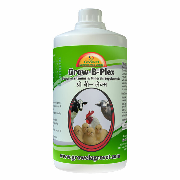 Grow B-Plex - Poultry Vitamin B-Complex With Vitamin E ,Vitamin -C ...