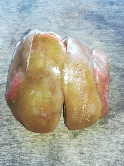 24 d.o liver of Broiler chicken - Clinical issues