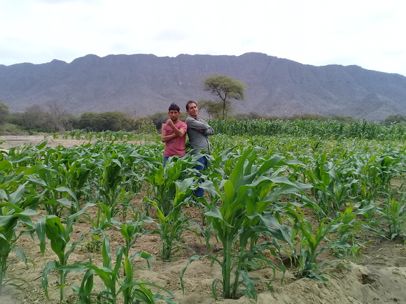 www.agriperia.com - OLMOS - PERU