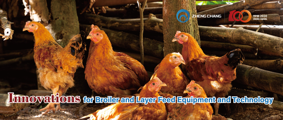 Innovations for Broiler and Layer Feed Equipment and Technology - Clinical issues