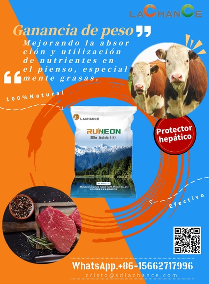 Innovador producto para mejorar el crecimiento y la calidad de carne de ganado bovino - Casos clínicos
