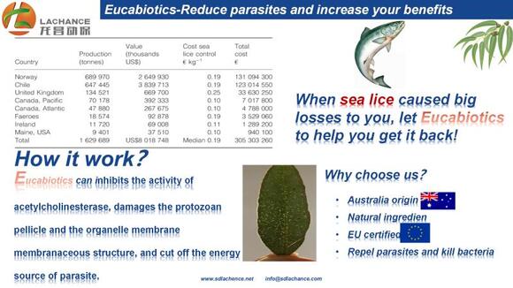 a new way to solve the sea lice problem on salmon industry - Casos clínicos