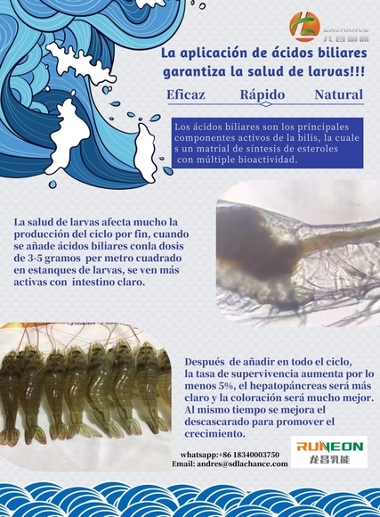 how to protect shrimp liver - Casos clínicos
