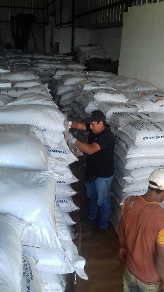 Inspección de verificadora