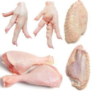 Chicken - Clinical issues