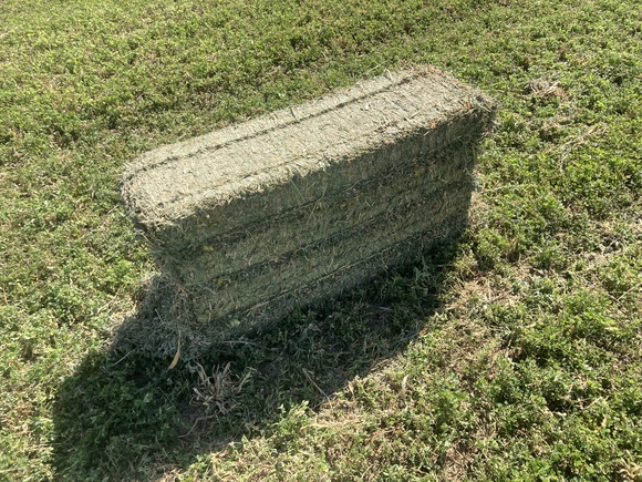 Venta de pacas de alfalfa en Mexicali B.C. envíos a todo Mexico y U.S.A - Casos clínicos