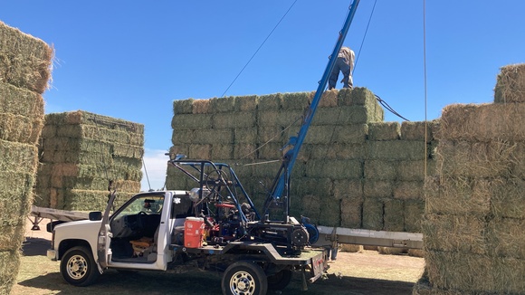 Venta de pacas de alfalfa - Casos clínicos