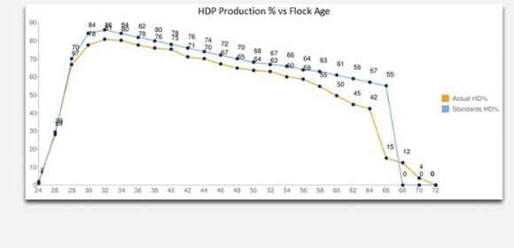 HDP Production % vs Flock Age - Miscellaneous