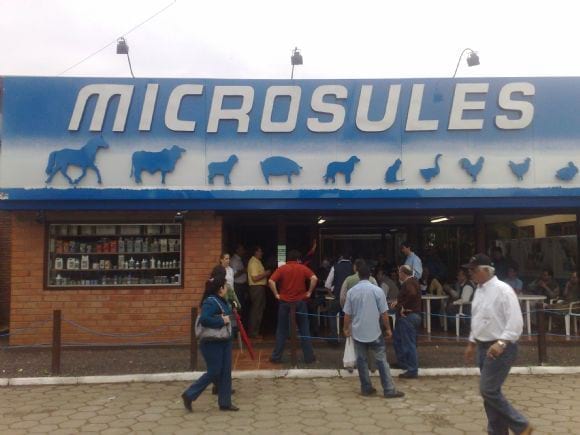 STAND PERMANENTE NA EXPOINTER...........