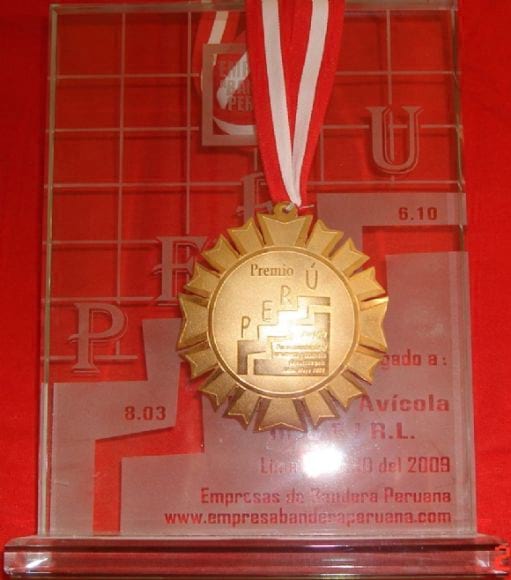 EMPRESA DE BANDERA PERUANA 2009 Ref 18296